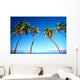 Hawaii, Maui, Lahaina, Coconut Palm Trees Along Ocean, Blue Sky C1681 Wall Mural