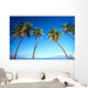 Hawaii, Maui, Lahaina, Coconut Palm Trees Along Ocean, Blue Sky C1681 Wall Mural