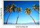 Hawaii, Maui, Lahaina, Coconut Palm Trees Along Ocean, Blue Sky C1681 Wall Mural