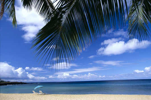 Beach Chairs And Umbrella C1589 Wall Mural