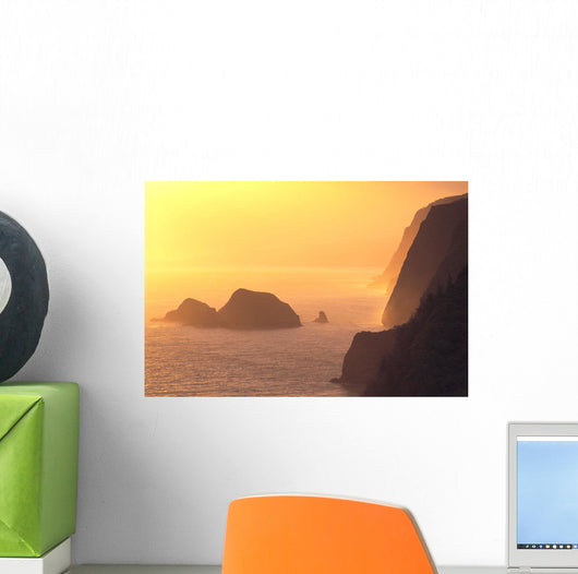 Hazy Orange C1611 Wall Mural