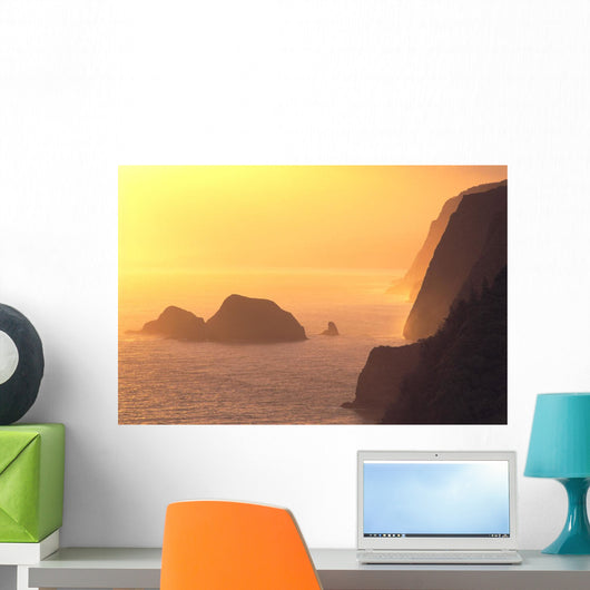 Hazy Orange C1611 Wall Mural
