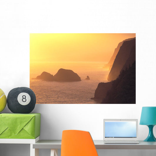 Hazy Orange C1611 Wall Mural