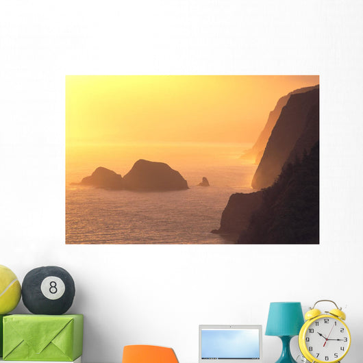 Hazy Orange C1611 Wall Mural