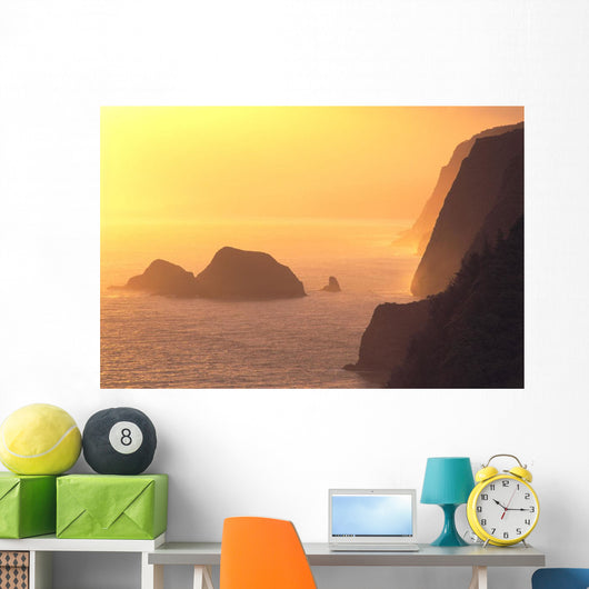 Hazy Orange C1611 Wall Mural