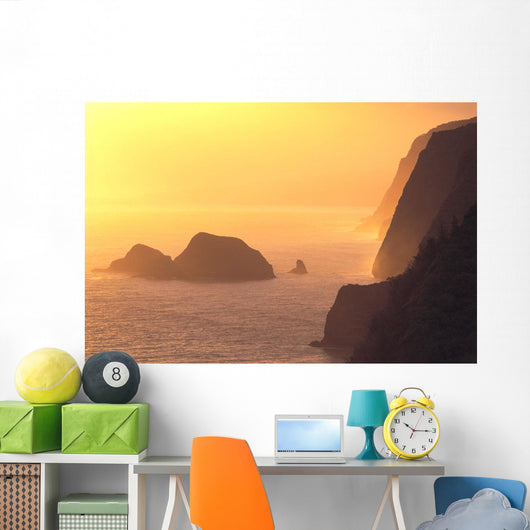 Hazy Orange C1611 Wall Mural