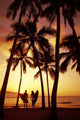 Palms At Sunset Golden Silhouette Wall Mural