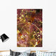 Hawaii, Banded Coral Shrimp Close-Up Magnified View D1811 Wall Mural