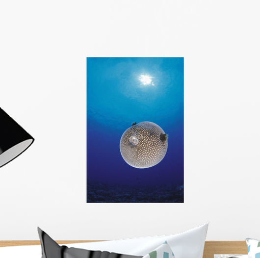 Blue Ocean Sunburst Arothron Meleagris D1873 Wall Mural