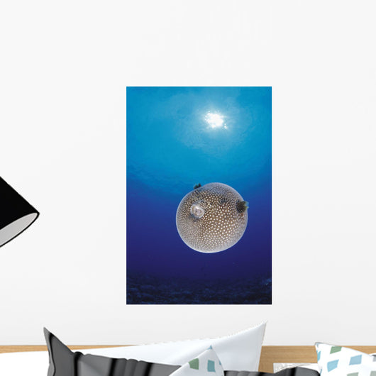 Blue Ocean Sunburst Arothron Meleagris D1873 Wall Mural