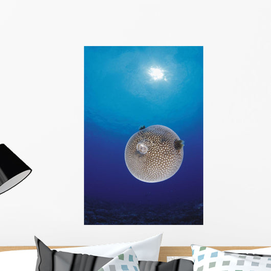 Blue Ocean Sunburst Arothron Meleagris D1873 Wall Mural