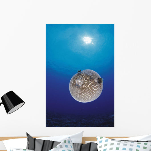 Blue Ocean Sunburst Arothron Meleagris D1873 Wall Mural