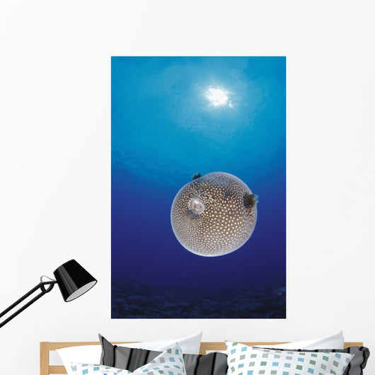 Blue Ocean Sunburst Arothron Meleagris D1873 Wall Mural