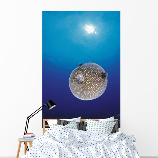 Blue Ocean Sunburst Arothron Meleagris D1873 Wall Mural