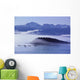 Humpback Whale Fluke Wall Mural