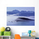 Humpback Whale Fluke Wall Mural