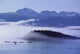 Humpback Whale Fluke Wall Mural