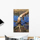 Zgryz Bobrowy Wall Decal