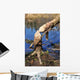 Zgryz Bobrowy Wall Decal