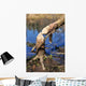 Zgryz Bobrowy Wall Decal