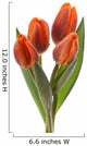 Bunch of Tulip Flowers Wall Decal