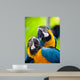 Beautiful Colorful Parrot Wall Mural