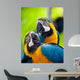 Beautiful Colorful Parrot Wall Mural