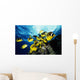 Chaetodon Lunula Near Surface Wall Mural