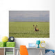 Male Deer With Antlers Wall Mural