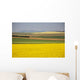 Flowering Canola Fields Wall Mural