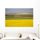 Flowering Canola Fields Wall Mural