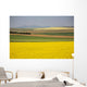 Flowering Canola Fields Wall Mural