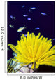 Papua New Guinea, Yellow Feather Star, Crinoidea, And Tropical Fish Wall Mural