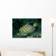 Fiji, Regal Angelfish Close-Up Side View Wall Mural