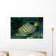 Fiji, Regal Angelfish Close-Up Side View Wall Mural