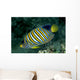 Fiji, Regal Angelfish Close-Up Side View Wall Mural