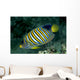 Fiji, Regal Angelfish Close-Up Side View Wall Mural