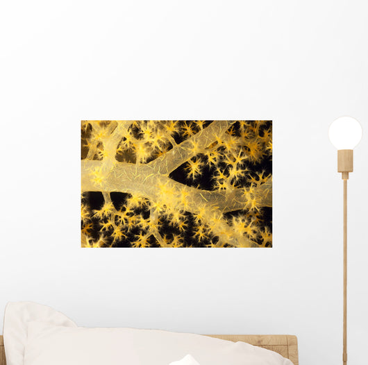 Yellow Alcyonarian Coral With Bundles Of Sclerites, Close-Up Wall Mural