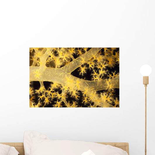 Yellow Alcyonarian Coral With Bundles Of Sclerites, Close-Up Wall Mural