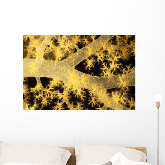 Yellow Alcyonarian Coral With Bundles Of Sclerites, Close-Up Wall Mural