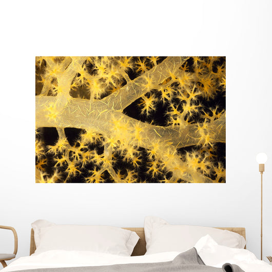 Yellow Alcyonarian Coral With Bundles Of Sclerites, Close-Up Wall Mural
