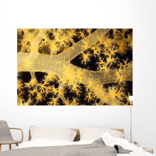 Yellow Alcyonarian Coral With Bundles Of Sclerites, Close-Up Wall Mural