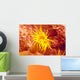 Close-Up Of Orange Tube Coral Wall Mural