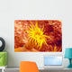 Close-Up Of Orange Tube Coral Wall Mural