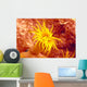 Close-Up Of Orange Tube Coral Wall Mural