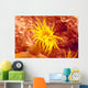 Close-Up Of Orange Tube Coral Wall Mural
