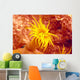 Close-Up Of Orange Tube Coral Wall Mural