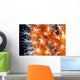 Detailed View Of Pink Sponge Covered Gorgonian Coral Wall Mural