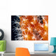 Detailed View Of Pink Sponge Covered Gorgonian Coral Wall Mural