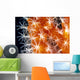 Detailed View Of Pink Sponge Covered Gorgonian Coral Wall Mural
